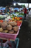 Local Market (Monday & Thursday)